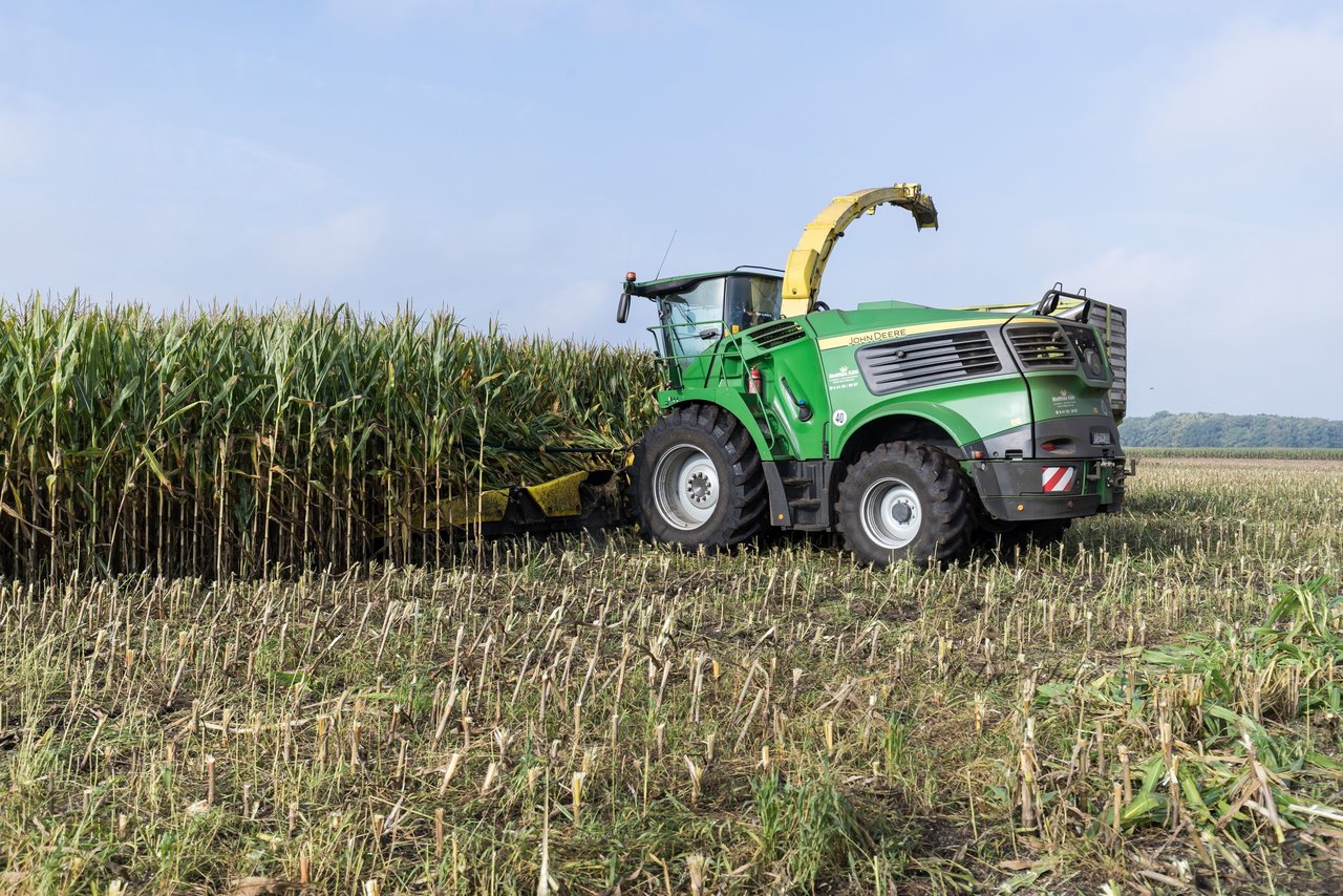 Bild 151 - Maisernte